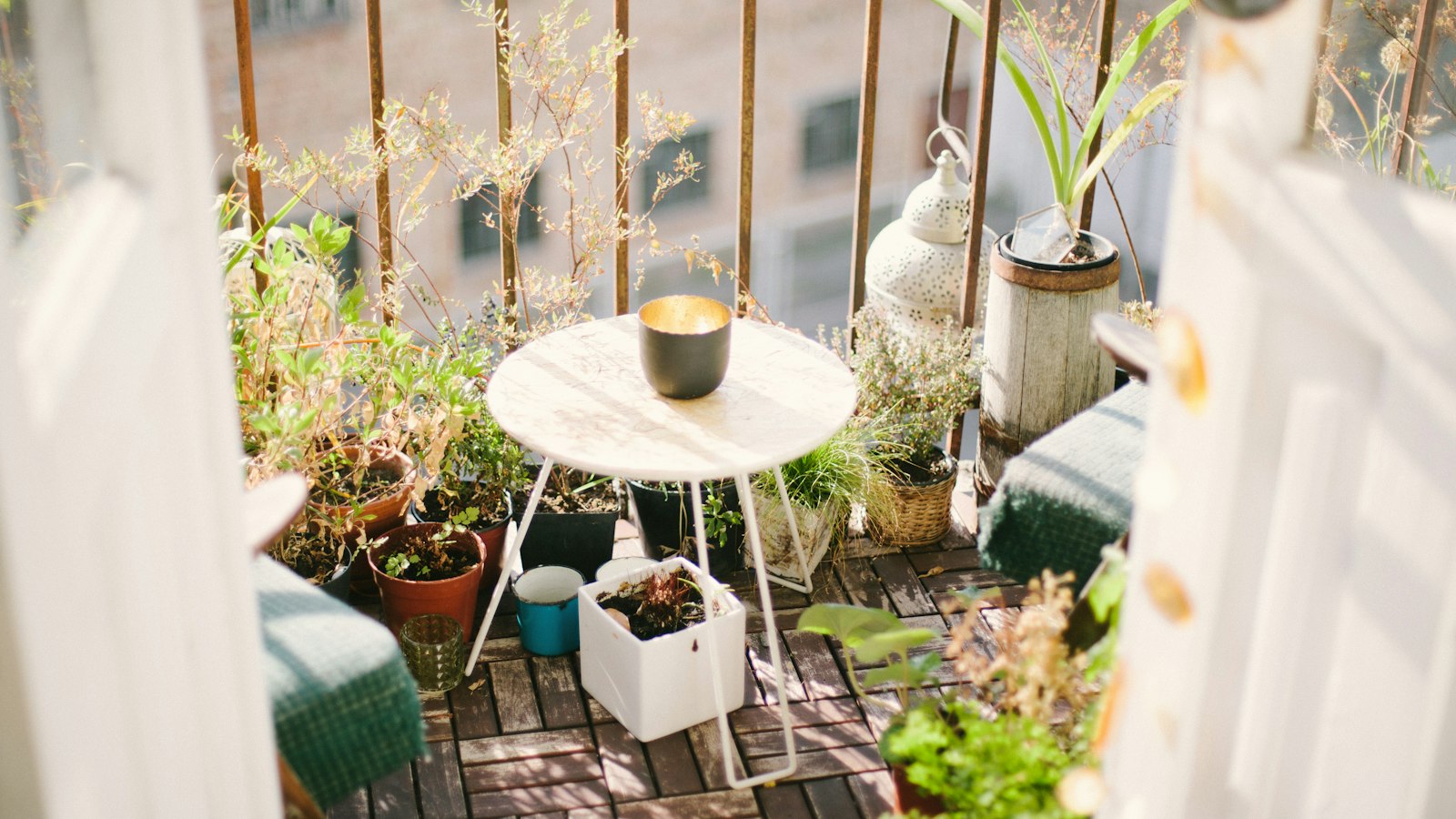 Peu de pots, mais très grands : le parti pris des belles terrasses